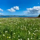 Ein Sommertag an der Förde