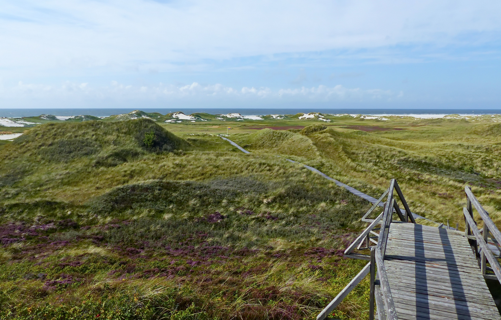 Ein Sommertag auf Amrum