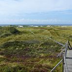 Ein Sommertag auf Amrum