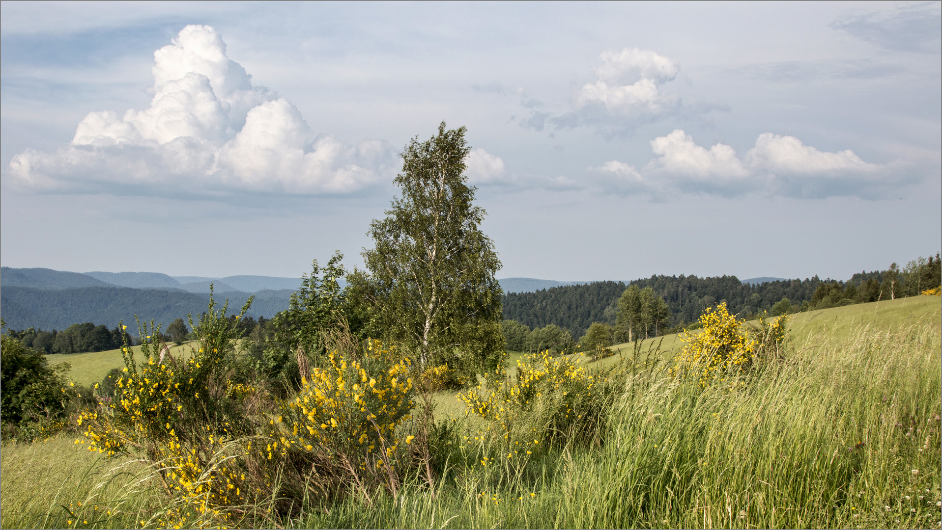 Ein Sommertag auf den Schwarzwaldhöhen