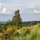 Ein Sommertag auf den Schwarzwaldhöhen