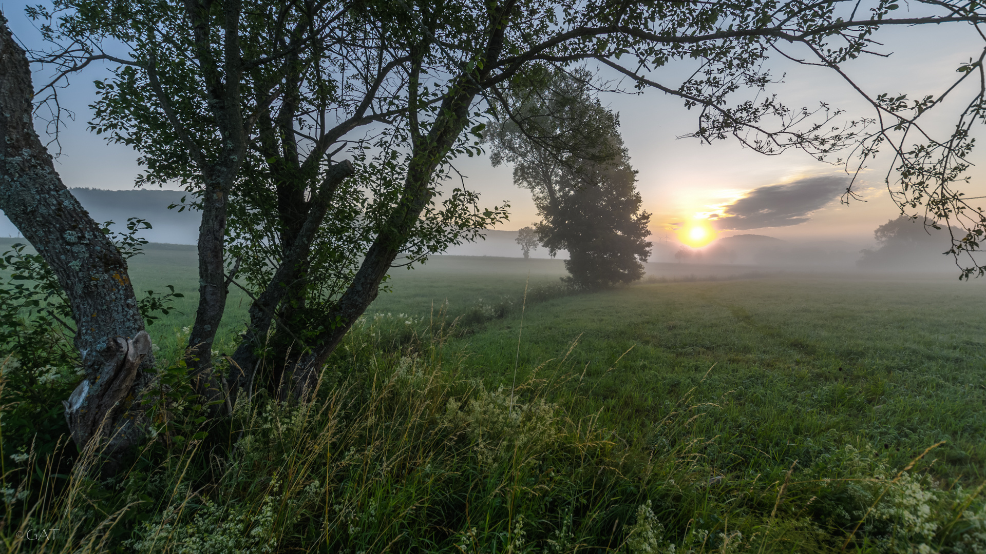 Ein Sommertag beginnt. 