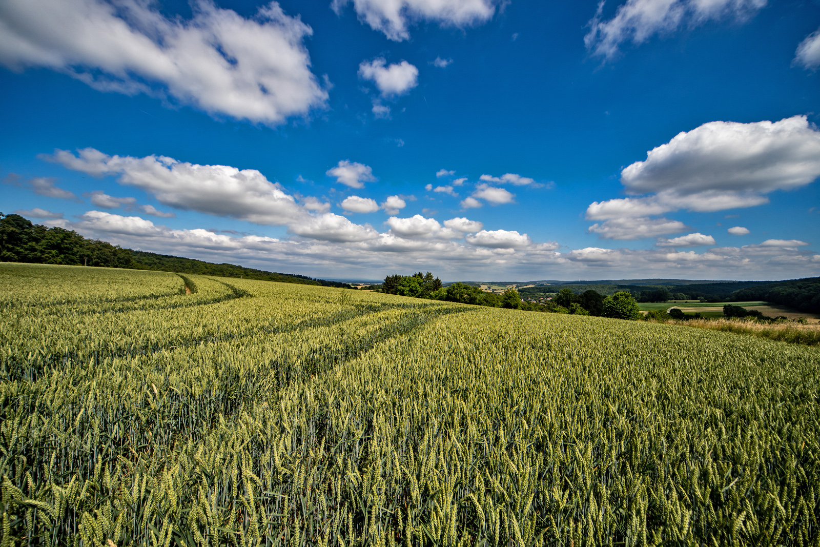 Ein Sommertag Foto & Bild landschaft, Äcker, felder & wiesen