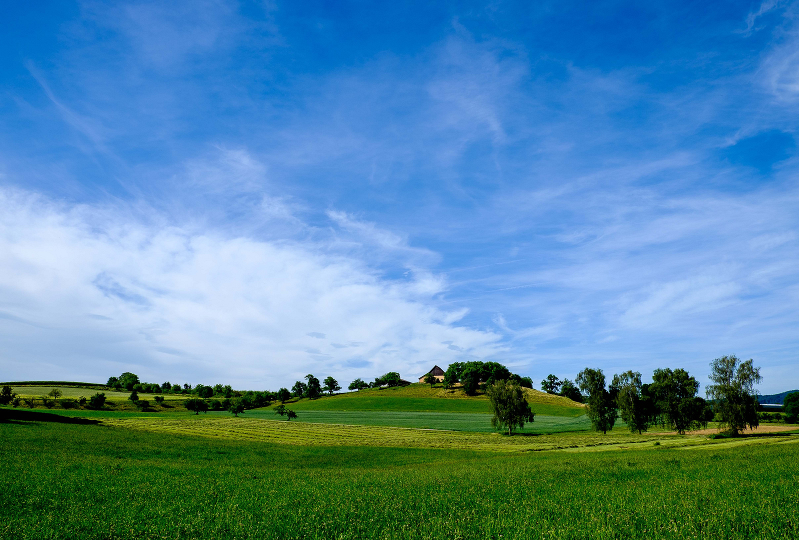 Ein Sommertag