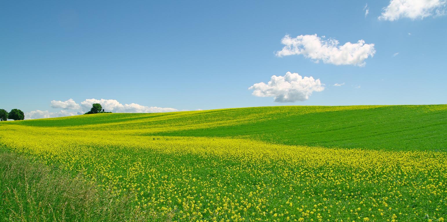 Ein Sommertag