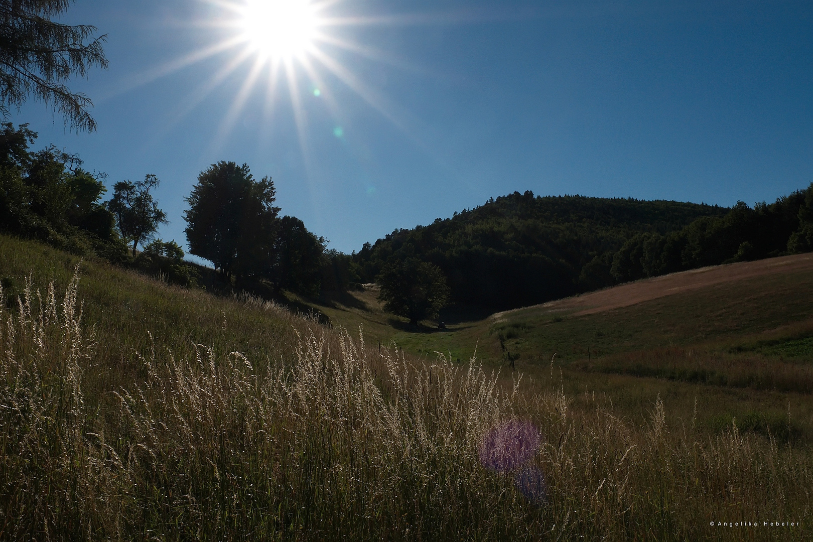 Ein Sommertag geht zu Ende