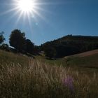 Ein Sommertag geht zu Ende