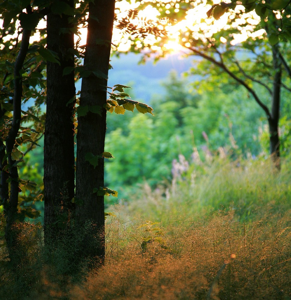 Ein Sommertag geht zu Ende