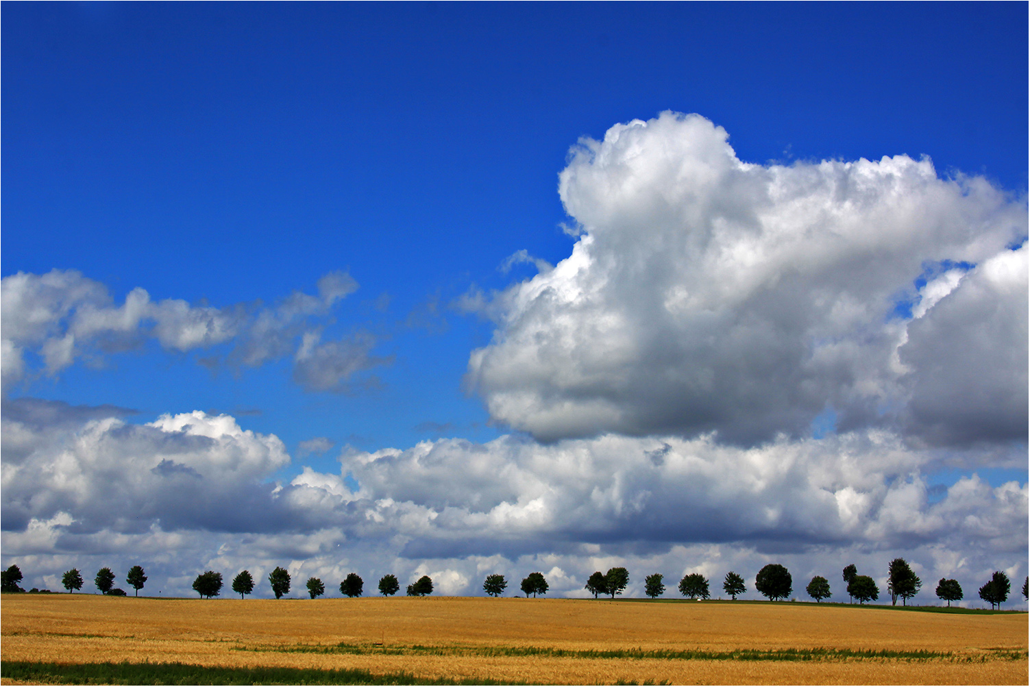 Ein Sommertag im April