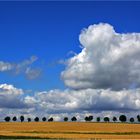 Ein Sommertag im April