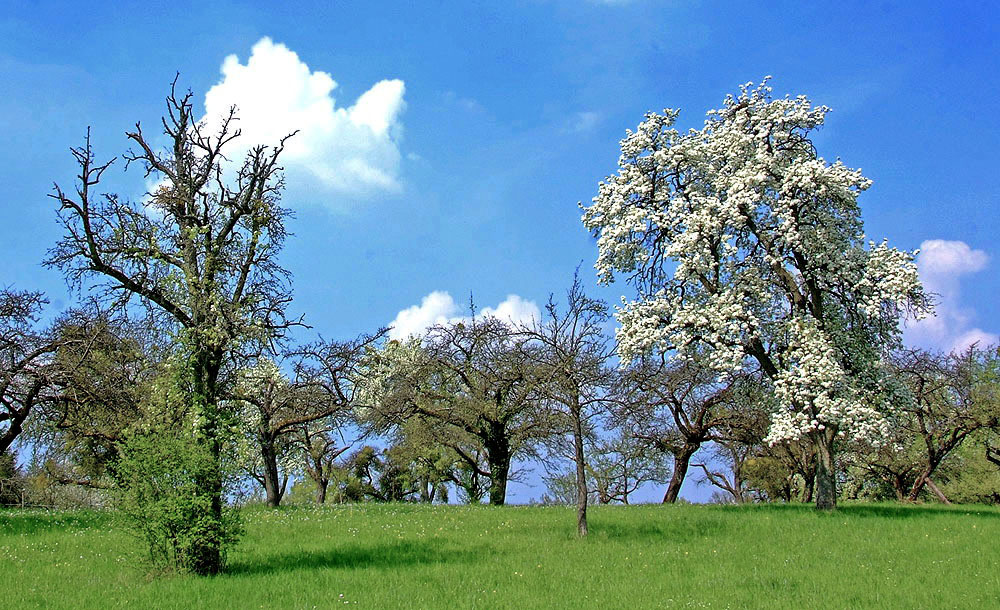 Ein Sommertag im April ...