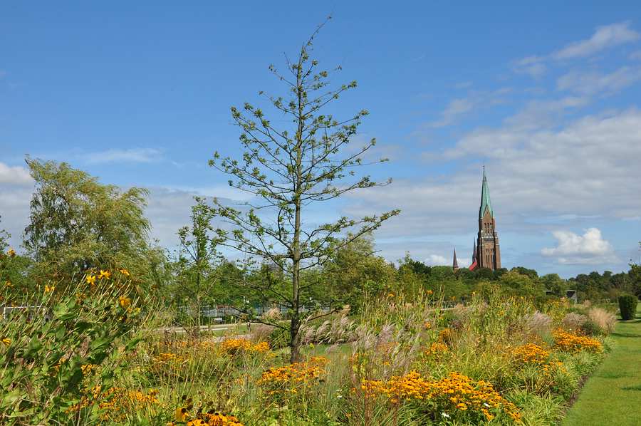 Ein Sommertag im August ........