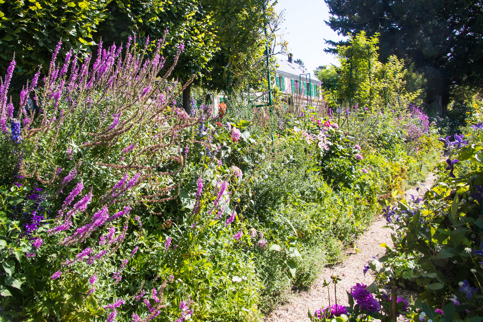 Ein Sommertag im Garten des Herrn Monet