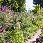 Ein Sommertag im Garten des Herrn Monet