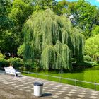 ein Sommertag im Kurpark