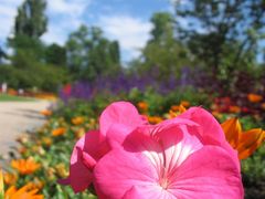 Ein Sommertag im Luisenpark...