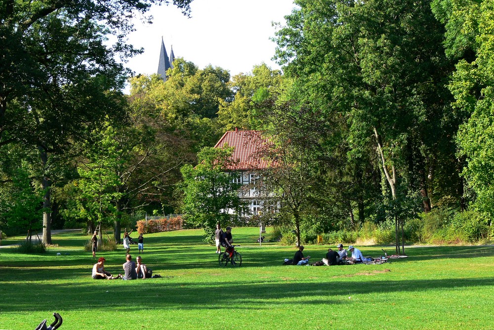 Ein Sommertag im Park