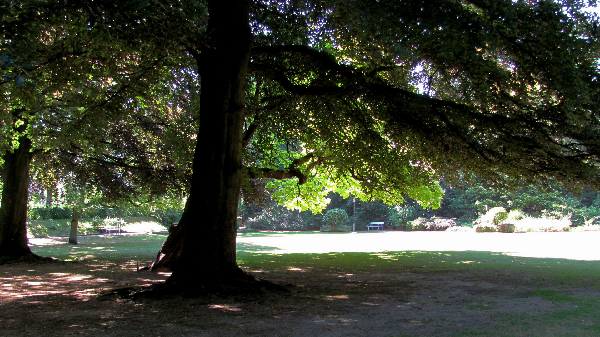 Ein Sommertag im Park