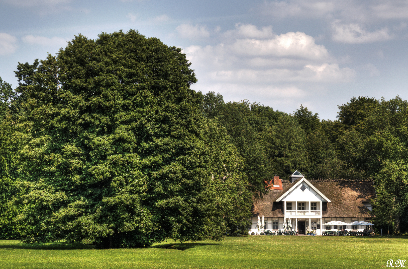 Ein Sommertag im Park