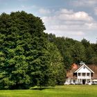 Ein Sommertag im Park