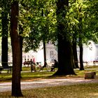 Ein Sommertag im Schlossgarten