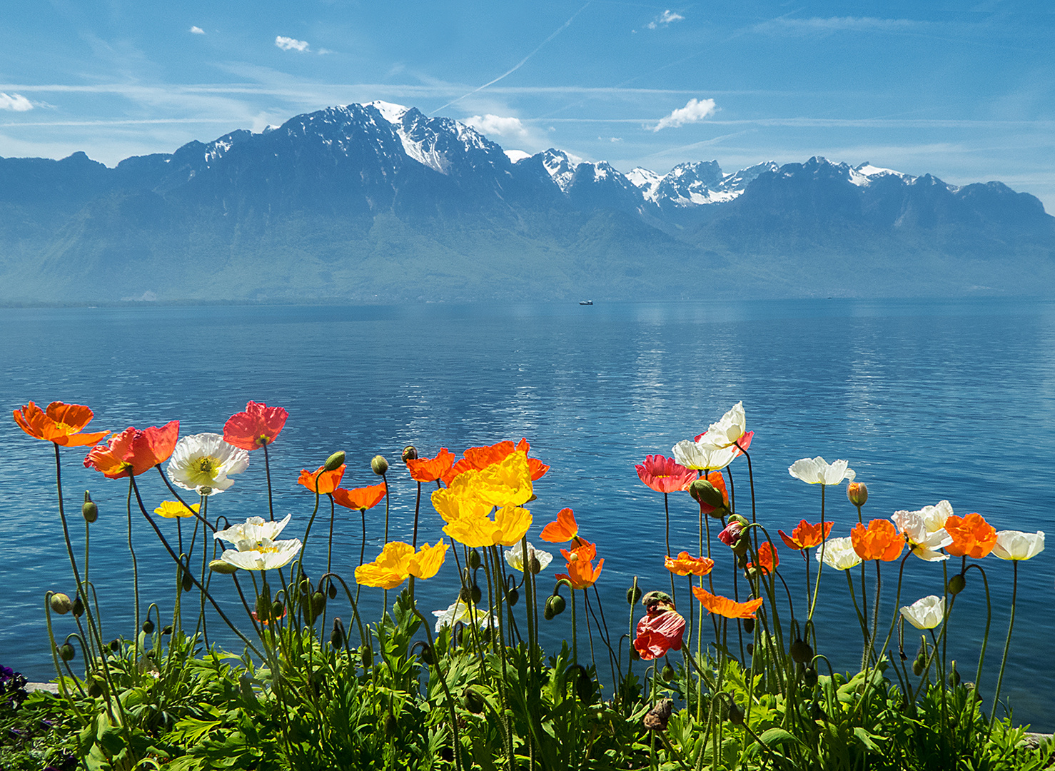 ein Sommertag in... Foto & Bild europe, schweiz & liechtenstein