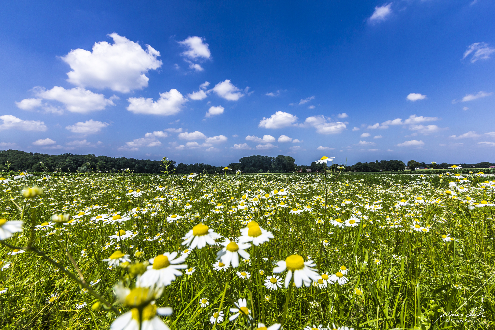 Ein Sommertag in Datteln