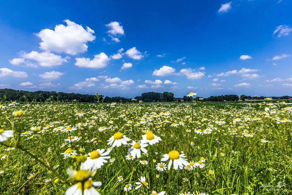 Ein Sommertag in Datteln