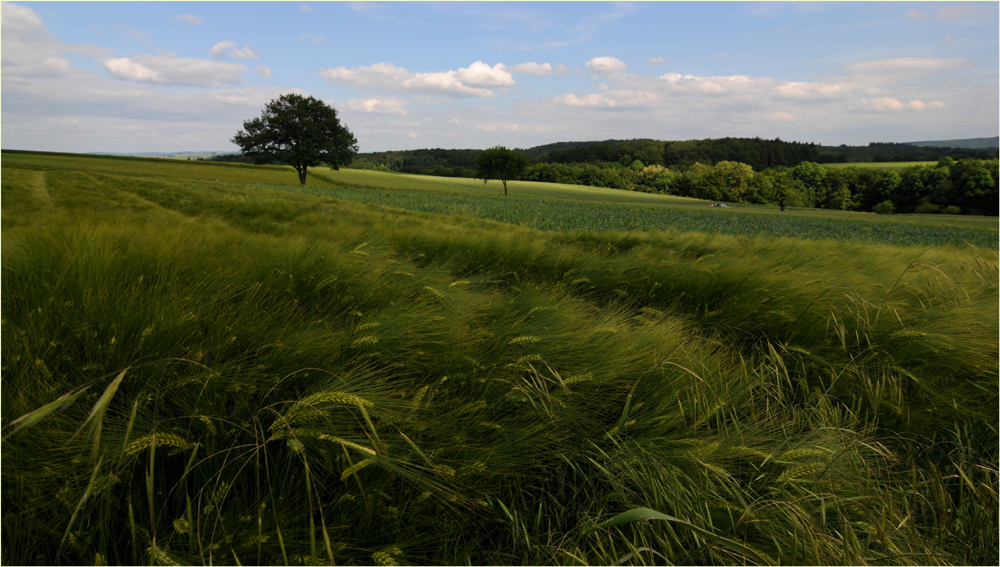 Ein Sommertag in der Eifel