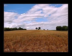 Ein Sommertag in der Pfalz....