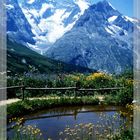 Ein Sommertraum am Col du Lautaret 2056 m