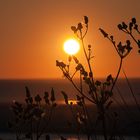 Ein Sonnenaufgang am Strand