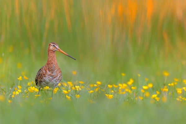 Ein Sonnenaufgang... 