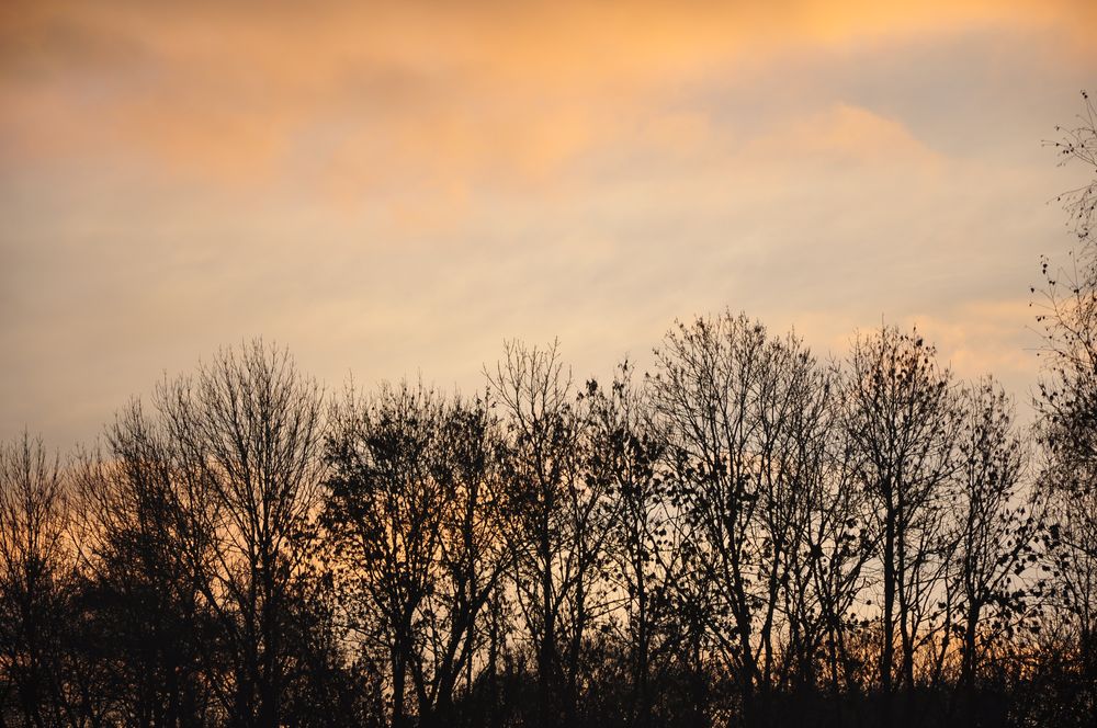 Ein Sonnenaufgang im Dezember