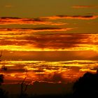 ein Sonnenaufgang in Australien