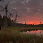 Ein Sonnenaufgang in der Taiga