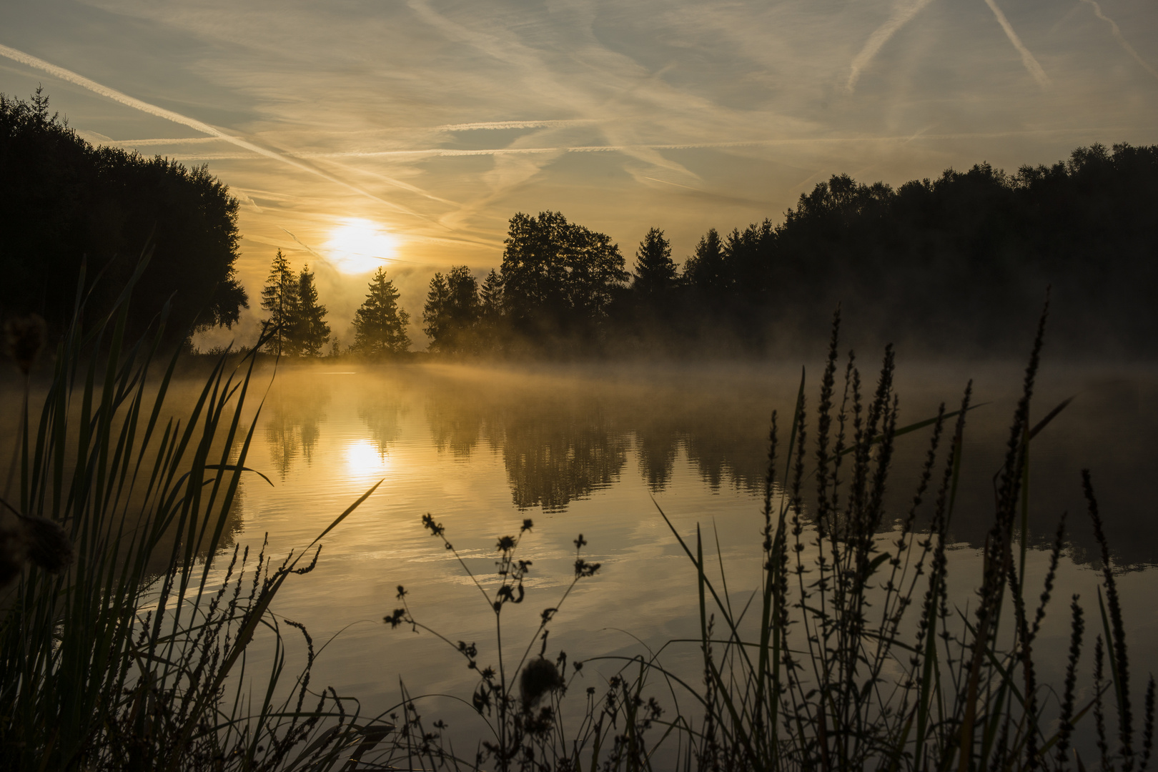 ein Sonnenaufgang in freier Natur