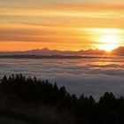 Ein Sonnenaufgang über dem Nebelmeer...