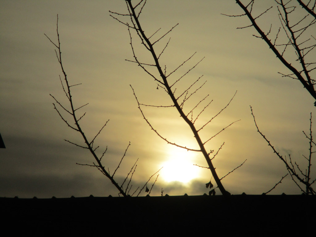 Ein Sonnenaufgang  von November 2017 für euch 