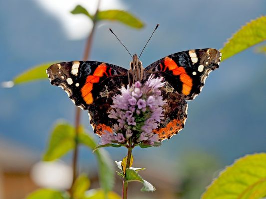 Ein Sonnenbad vor der kalten Jahreszeit ...