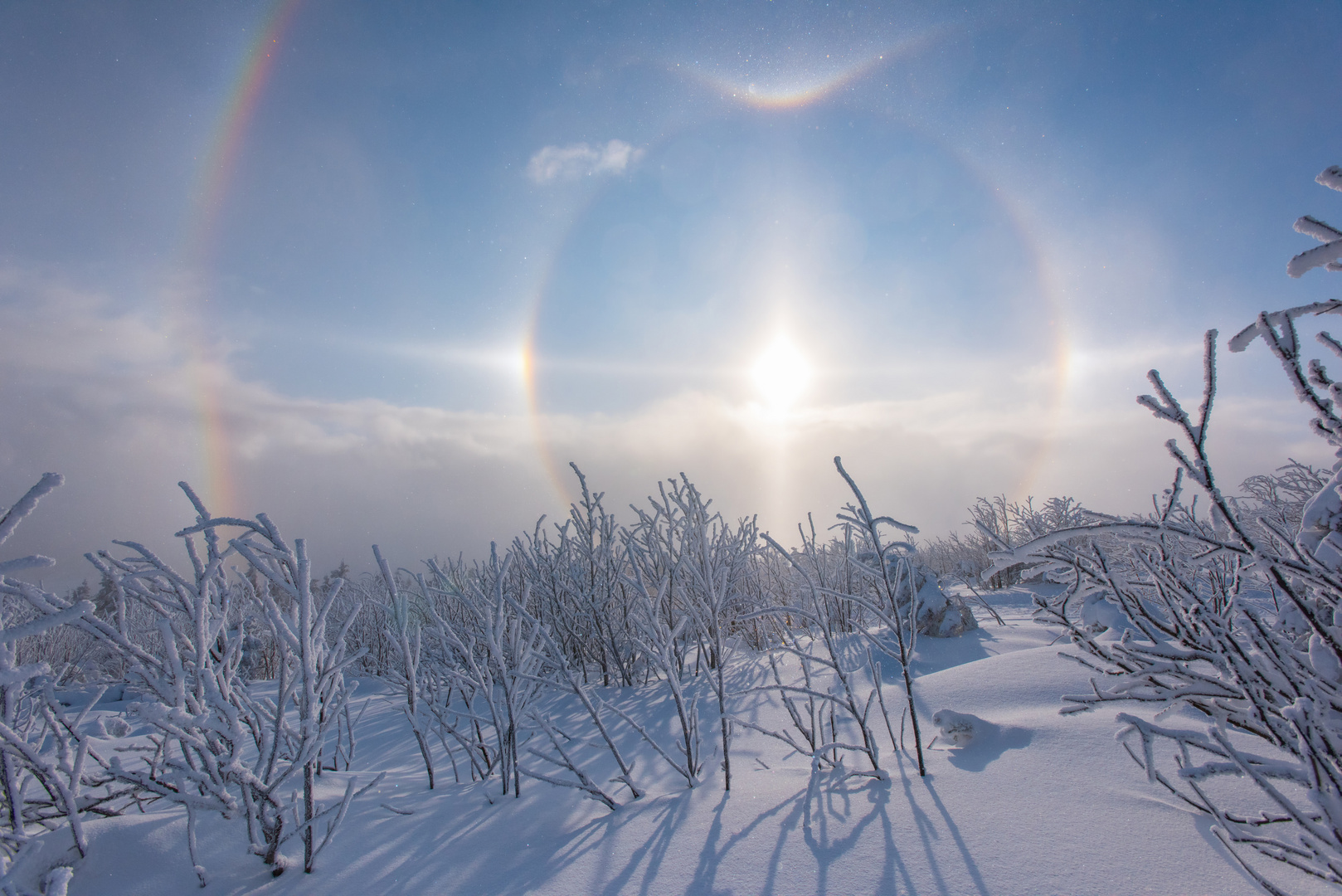 ein Sonnenhalo....