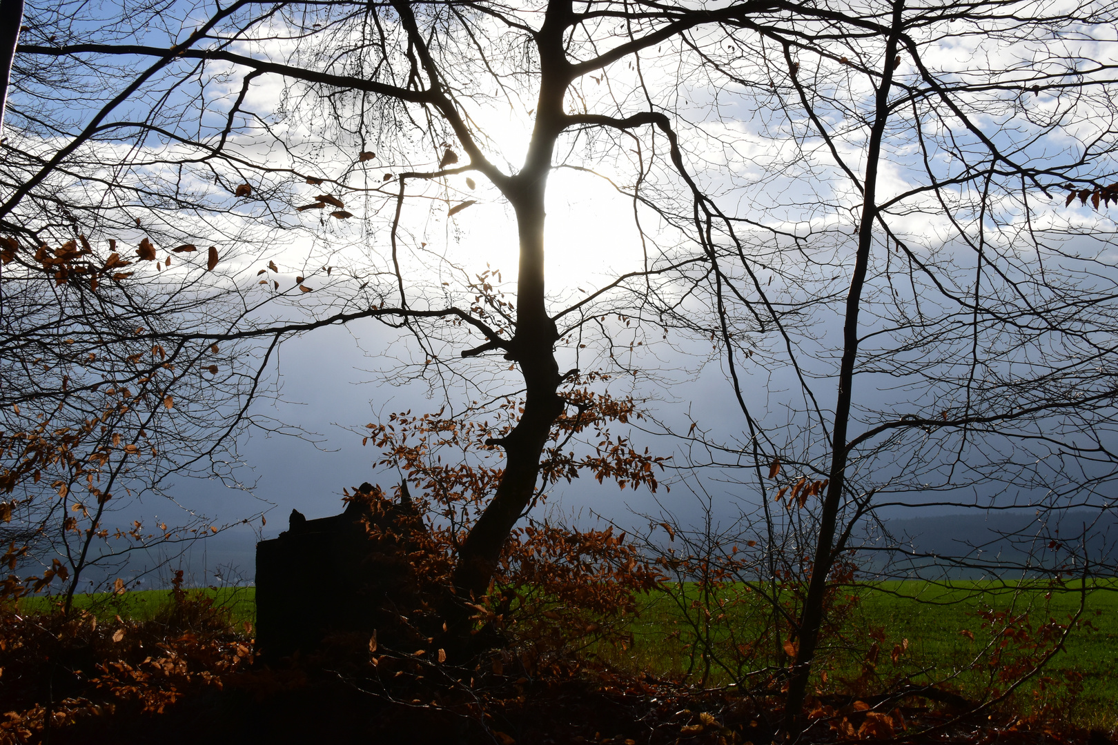 Ein Sonnenlichtblick ....