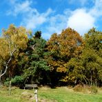 °°°° Ein Sonnenplatz im Herbst°°°°