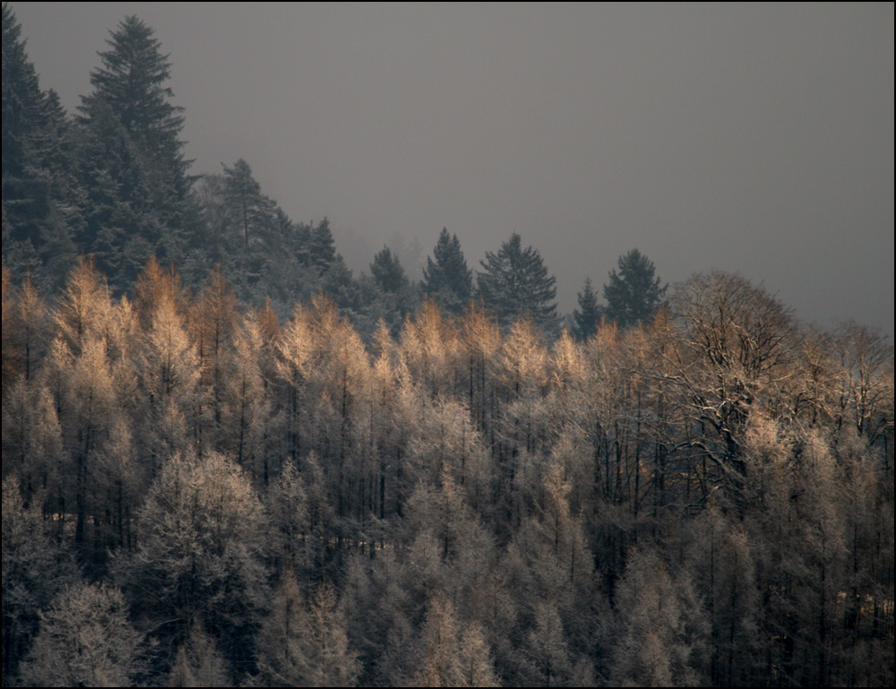 ein Sonnenstrahl ...