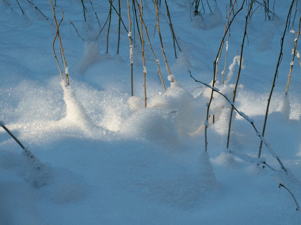 Ein Sonnenstrahl