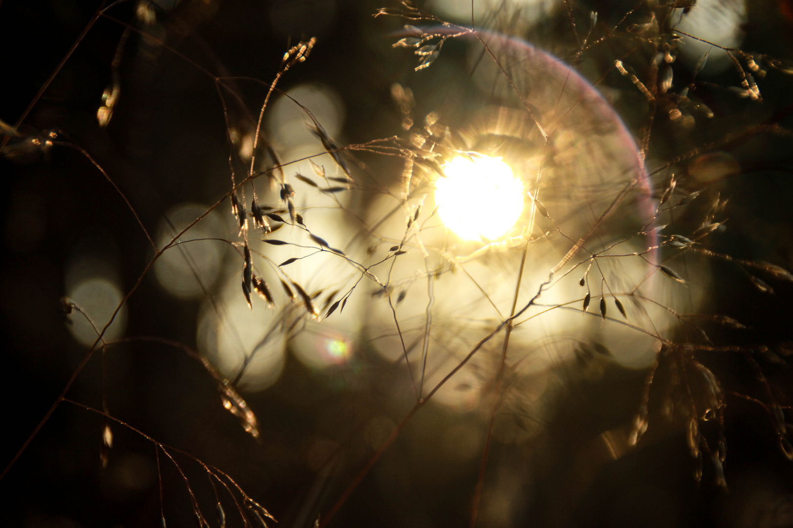 Ein Sonnenstrahl