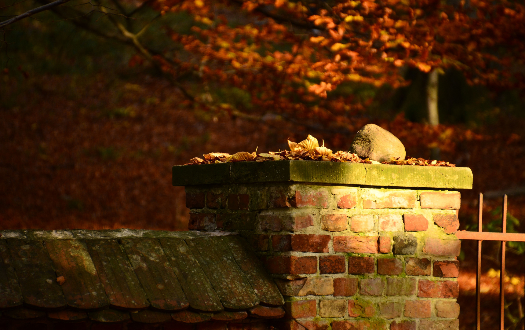 Ein Sonnenstrahl