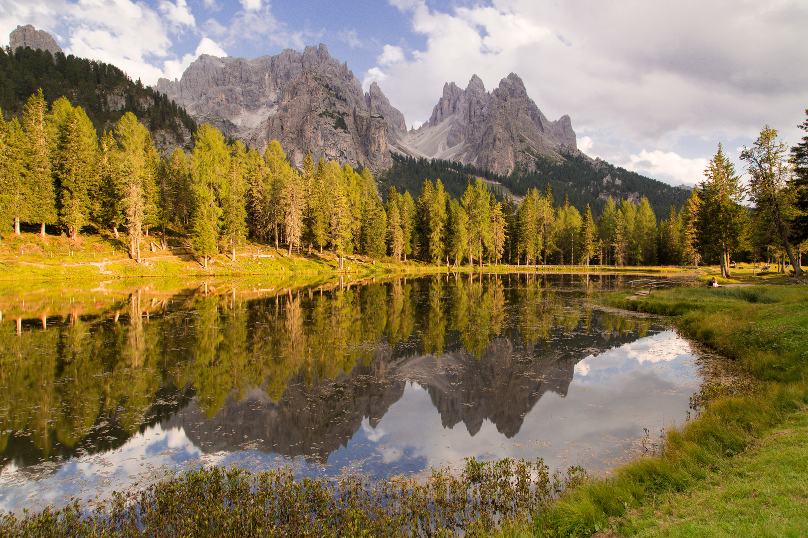 Ein Sonnenstrahl im dunklen Tal