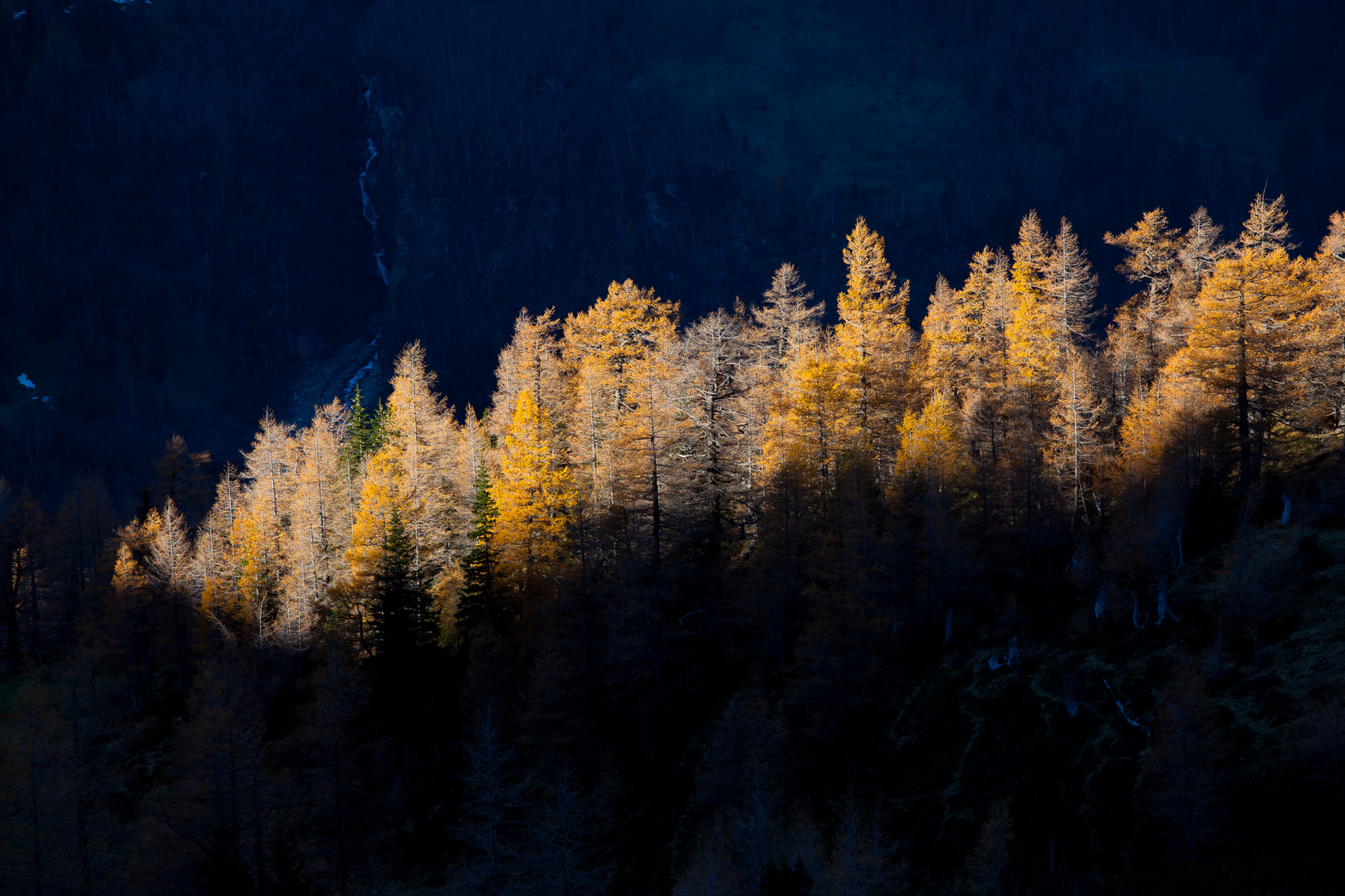 Ein Sonnenstrahl im Ferleitental