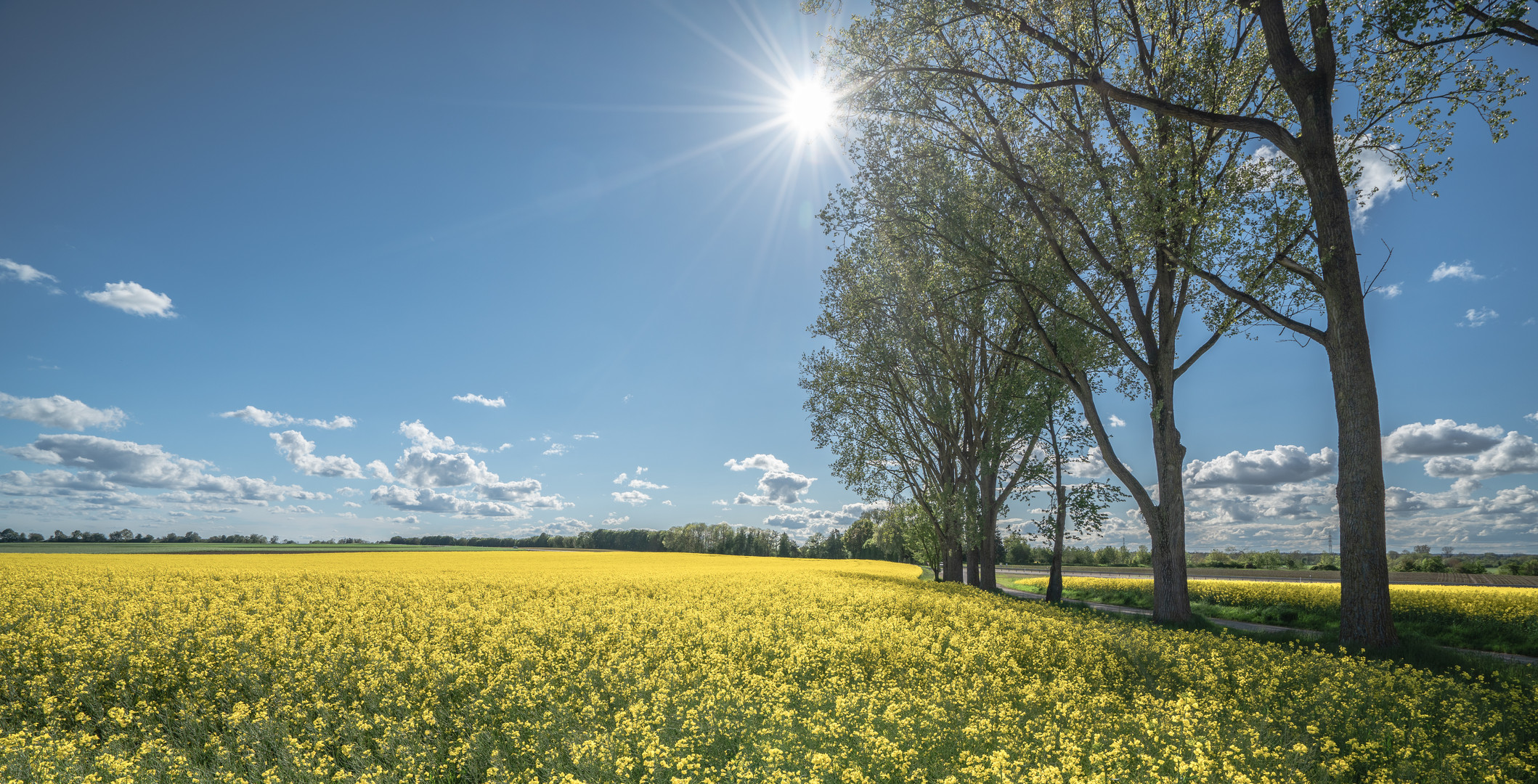 Ein Sonnentag